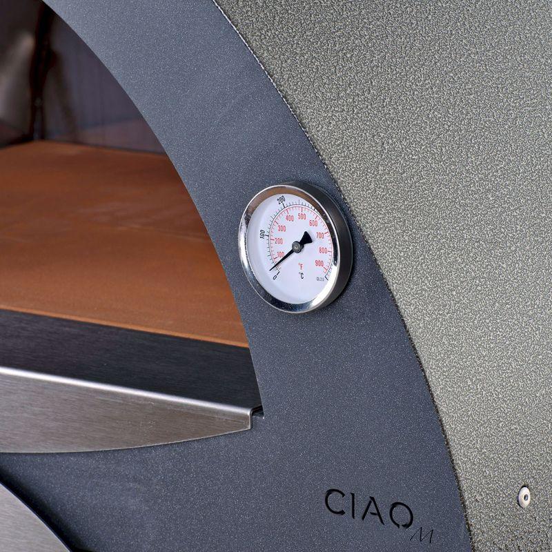 Alfa Ciao Portable Outdoor Wood Fired Pizza Oven | Ultimate Culinary Experience